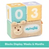 image:imageBaby GUND Milestones and Moments Soft Blocks Plush Photo Prop Sensory Toy Blocks for Babies and Newborns Multicolor