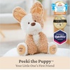 image:imageGUND Baby Flora the Bunny Animated Plush Singing Stuffed Animal Toy for Ages 0 and Up Cream 12 Styles May VaryPeeki