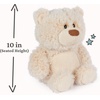 image:imageGUND Bubbles Teddy Bear Stuffed Animal Premium Bear Plush Toy for Ages 0 and Up Cream 10Cream
