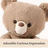 image:imageGUND Forever Friends Philbin Classic Teddy Bear As Seen on The View Premium Stuffed Animal for Ages 0 and Up Chocolate Brown 12Kai