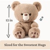 image:imageGUND Forever Friends Philbin Classic Teddy Bear As Seen on The View Premium Stuffed Animal for Ages 0 and Up Chocolate Brown 12Kai