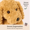 image:imageGUND Forever Friends Philbin Classic Teddy Bear As Seen on The View Premium Stuffed Animal for Ages 0 and Up Chocolate Brown 12Muttsy