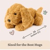 image:imageGUND Forever Friends Philbin Classic Teddy Bear As Seen on The View Premium Stuffed Animal for Ages 0 and Up Chocolate Brown 12Muttsy