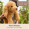image:imageGUND Forever Friends Philbin Classic Teddy Bear As Seen on The View Premium Stuffed Animal for Ages 0 and Up Chocolate Brown 12Muttsy