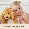 image:imageGUND Forever Friends Philbin Classic Teddy Bear As Seen on The View Premium Stuffed Animal for Ages 0 and Up Chocolate Brown 12Muttsy