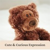 image:imageGUND Forever Friends Philbin Classic Teddy Bear As Seen on The View Premium Stuffed Animal for Ages 0 and Up Chocolate Brown 12Philbin