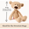 image:imageGUND Forever Friends Philbin Classic Teddy Bear As Seen on The View Premium Stuffed Animal for Ages 0 and Up Chocolate Brown 12Toothpick