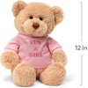 image:imageGUND Im The Big Brother Message Bear with Blue TShirt Teddy Bear Stuffed Animal for Ages 1 and Up Brown 12Its a Girl Pink Tshirt