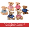image:imageGUND Im The Big Brother Message Bear with Blue TShirt Teddy Bear Stuffed Animal for Ages 1 and Up Brown 12Its a Girl Pink Tshirt