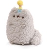image:imageGUND Pusheen and Stormy Birthday Set Plush Collectible Stuffed Animals for Ages 8 and Up Gray 65