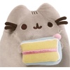 image:imageGUND Pusheen and Stormy Birthday Set Plush Collectible Stuffed Animals for Ages 8 and Up Gray 65