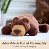 image:imageGUND Tush Teddy Bear Premium Teddy Bear Stuffed Animal for Ages 1 and Up Brown 15