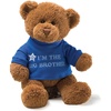image:imageGUND Im The Big Brother Message Bear with Blue TShirt Teddy Bear Stuffed Animal for Ages 1 and Up Brown 12Big Brother Blue Tshirt