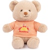 Tshirt Teddy Bear -You Are My Sunshine