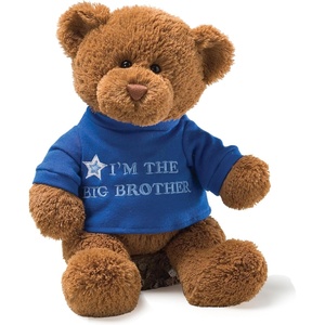 image:imageGUND Im The Big Brother Message Bear with Blue TShirt Teddy Bear Stuffed Animal for Ages 1 and Up Brown 12Big Brother Blue Tshirt