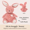 image:imageGUND Baby Oh So Snuggly Bunny Stuffed Animal Bunny Toddler Toy Dusty Rose Pink 125Bunny 125