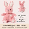 image:imageGUND Baby Oh So Snuggly Littles Bunny Rabbit Small Stuffed Animals Bunny Stuffed Animal Plush Toys for Infants and Toddlers Pink 7