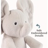 image:imageGUND Baby PeekaBoo Peeki Puppy Plush Dog Stuffed Animal Baby Toy for Ages 0 and Up BrownCream 7Flappy Elephant