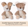image:imageGUND Baby PeekaBoo Peeki Puppy Plush Dog Stuffed Animal Baby Toy for Ages 0 and Up BrownCream 7Peeki Puppy