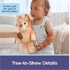 image:imageGUND Bluey Sustainably Soft Plush Made with Recycled Materials Stuffed Animals for Kids amp Toddlers Blue 13Bingo