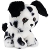 image:imageGUND Boo The Worlds Cutest Dog Boo amp Friends Collection Dalmatian Puppy Stuffed Animal for Ages 1 and Up 5
