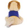 image:imageGUND Boo The Worlds Cutest Dog Varsity Jacket Plush Pomeranian Stuffed Animal for Ages 1 and Up 9