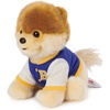 image:imageGUND Boo The Worlds Cutest Dog Varsity Jacket Plush Pomeranian Stuffed Animal for Ages 1 and Up 9