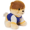 image:imageGUND Boo The Worlds Cutest Dog Varsity Jacket Plush Pomeranian Stuffed Animal for Ages 1 and Up 9