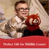 image:imageGUND Cedar Red Panda Plush Premium Red Panda Stuffed Animals for Ages 1 and Up OrangeBlue 10