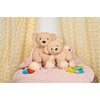 image:imageGUND Cindy Teddy Bear Plush Vintage Classic Stuffed Animal 12