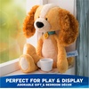 image:imageGUND Disney Official Figaro Toothpick Plush Pinocchio Mickey and Friends Cat Stuffed Animal for Ages 1 and Up Black 15Lady