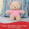 image:imageGUND Im the Big Sister Sustainable Message Bear with Pink TShirt Teddy Bear Made from 100 Recycled Materials for Ages 1 and Up Tan 12