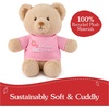 image:imageGUND Im the Big Sister Sustainable Message Bear with Pink TShirt Teddy Bear Made from 100 Recycled Materials for Ages 1 and Up Tan 12