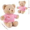 image:imageGUND Im the Big Sister Sustainable Message Bear with Pink TShirt Teddy Bear Made from 100 Recycled Materials for Ages 1 and Up Tan 12