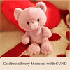 image:imageGUND Lost Tooth Toothpick Bear Premium Teddy Bear with Pajamas and Pocket for Notes or Baby Tooth Stuffed Animals for Ages 0 and Up Brown 10Multicolor