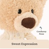 image:imageGUND Lost Tooth Toothpick Bear Premium Teddy Bear with Pajamas and Pocket for Notes or Baby Tooth Stuffed Animals for Ages 0 and Up Brown 10Multicolor