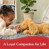 image:imageGUND Muttsy Dog Plush Premium Plush Puppy Stuffed Animal for Ages 1 and Up Brown 14
