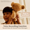 image:imageGUND Near or Far Bears Premium Large amp Small Teddy Bears with Voice Recording Capability Stuffed Animals for Ages 1 and Up Brown 16
