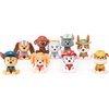 image:imageGUND PAW Patrol Everest Plush Official Toy from The Hit Cartoon Stuffed Animal for Ages 1 and Up 9Everest 9