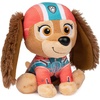 image:imageGUND PAW Patrol Everest Plush Official Toy from The Hit Cartoon Stuffed Animal for Ages 1 and Up 9Liberty 6
