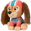 image:imageGUND PAW Patrol Everest Plush Official Toy from The Hit Cartoon Stuffed Animal for Ages 1 and Up 9Liberty 6