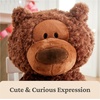 image:imageGUND Philbin Classic Teddy Bear Premium Stuffed Animal for Ages 1 and Up Beige 18Jumbo Philbin Brown 29