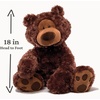image:imageGUND Philbin Classic Teddy Bear Premium Stuffed Animal for Ages 1 and Up Beige 18Philbin Brown 18