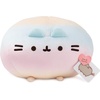image:imageGUND Pusheen Rainbow Round Pusheen Squisheen Plush Squishy Stuffed Animal for Ages 8 and Up Rainbow 11Rainbow