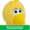 image:imageGUND Sesame Street Official Big Bird Take Along Buddy Plush Premium Plush Toy for Ages 1 amp Up Yellow 13Big Bird Takealong Buddy