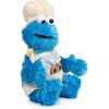 image:imageGUND Sesame Street Official Cookie Monster Teach Me Plush Premium Plush Toy for Ages 1 amp Up Blue 15