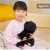 image:imageGUND Xavier Kitten Plush Premium Cat Stuffed Animal for Ages 1 and Up Black 9Kitten Black 9