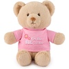 image:imageGUND Im the Big Sister Sustainable Message Bear with Pink TShirt Teddy Bear Made from 100 Recycled Materials for Ages 1 and Up Tan 12