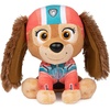 image:imageGUND PAW Patrol Everest Plush Official Toy from The Hit Cartoon Stuffed Animal for Ages 1 and Up 9Liberty 6