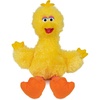 Official Big Bird 14